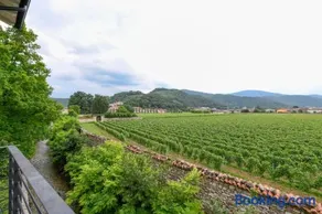 Il Vigneto - Image 2