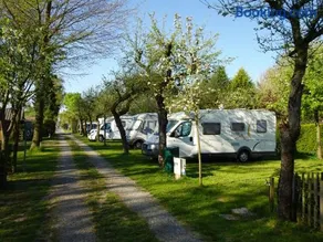 Campingpark de Linie - Image 4