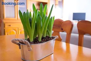 APARTAMENTO LOS NARCISOS - Image 3