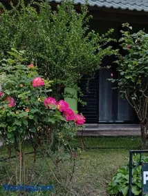 Guesthouse Eleftherios - Image 2