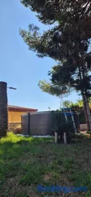 Las Cabañas del Bosque - Image 3
