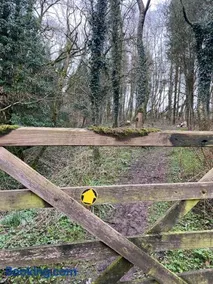 Woody's Retreat - Image 2