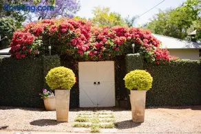 Ambiance Guesthouse - Image 3