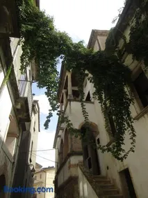 Magnifica Casa - Image 3