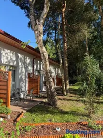 Las i Morze - Dźwirzyno - Image 4