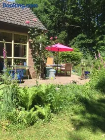 Blauwe Lelie - Image 4