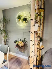 Extravagantes Apartment - Image 5