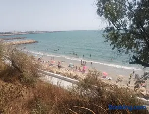 Samaya - Image 2