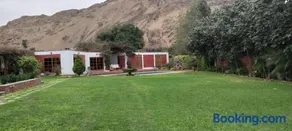 Las buganvilias - Image 4