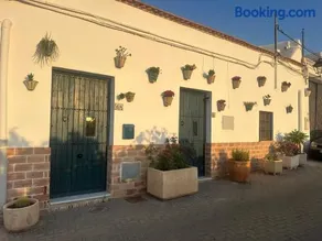 FlorCactus - Image 1