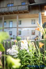 Branntweinhausl - Image 3