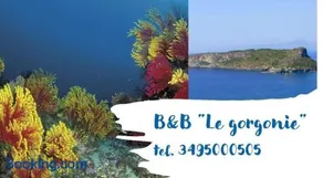 B&B Le Gorgonie - Image 2
