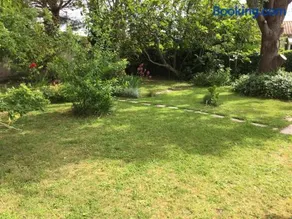 Le Cèdre Bleu - Image 3