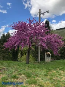 Agriturismo Serra Moneta - Image 1