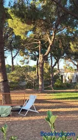 Bosco Elda - Image 3