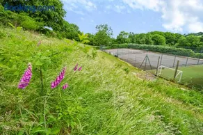 Beech Cottage - Image 5