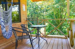 Forest Lodge - Image 2