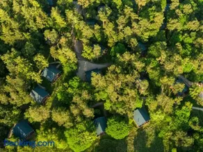Keldy Forest Cabins - Forest Holidays - Image 3