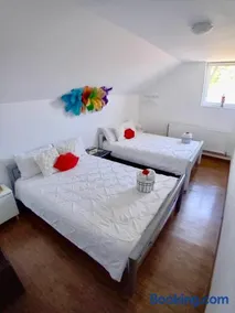 Camere de închiriat Trandafirilor - Image 3