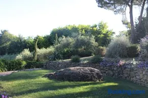 De Cipressi - Image 2