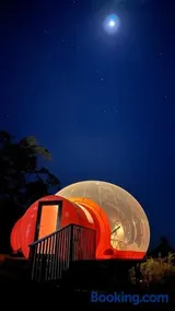 Romantic Stargazing Dome - Beyond Bubbles - Image 3