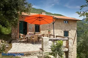 Casa Berti - Urlaub im Olivenhain - Image 1