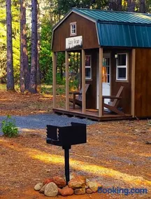 Lazy Bear Cabin 6 - Sleeps up to 4 - Image 3