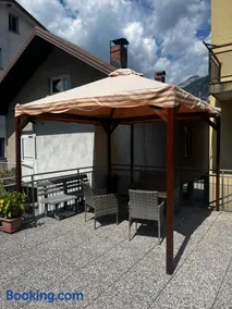 Ginkgo Tree Refuge - Image 3