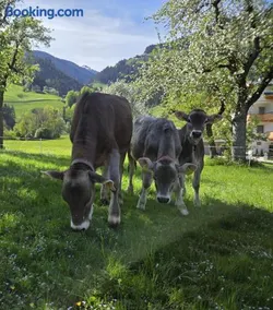 Oberstockachhof - Image 2