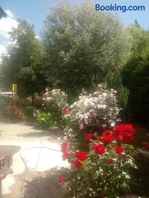 Las Rosas Alojamiento Turistico - Image 3
