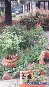 La gazza allegra - Image 2