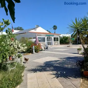 Casa de campo en finca La Guindilla - Image 2