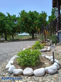 Joanna's House - Image 4