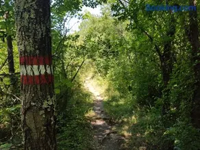 Jadranovo - Image 2