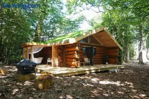 Secluded Hand Crafted Log Cabin - Image 1