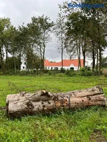 Oustrupgård - Image 4