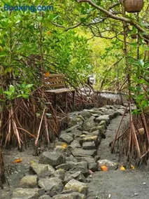 cascade island - Image 4