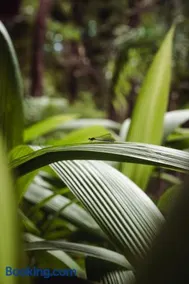 Award Winning Luxury Cabin in the Jungle 2BR - Image 2