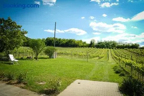 Pinot Gris House - Image 2
