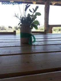 La Casita - Image 5