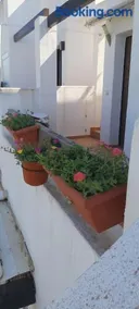 Condado de alhama, naranjos 8 - Image 1
