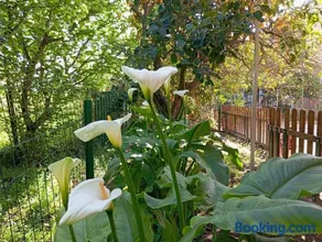 B&B Esterina - Image 2