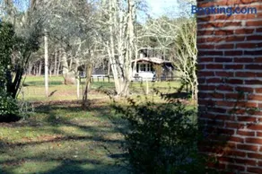 Gite foret landaise - Image 2