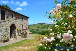 Casale Montemoro - Image 3