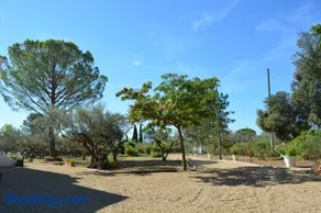 Villa Valdor- Studio - Image 3