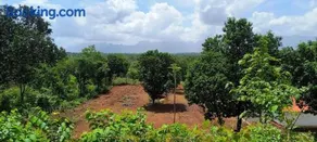 Kittu's Farm - Image 4