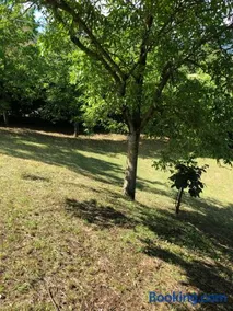 Capannina Vesale - Image 2