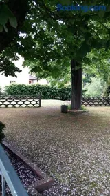 Pension am Tharandter Wald - Image 2