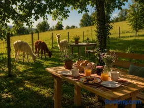 Tinyhouse Alpakas Ruhe&Natur Lavendelnest Südburgenland- Frühstück zubuchbar - Image 3