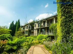 Ematjeni Retreat & Guesthouse - Image 4